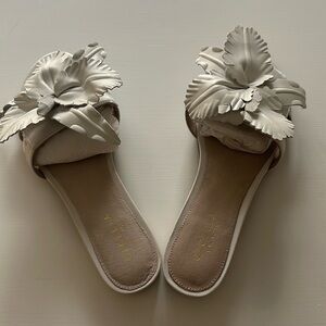 Never worn Cecelia Sandals, size 8 women’s